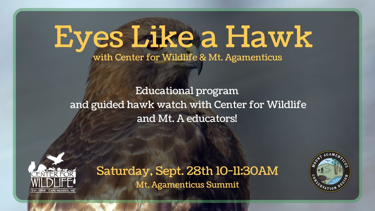 Eyes Like A Hawk with Center for Wildlife and Mt. Agamenticus