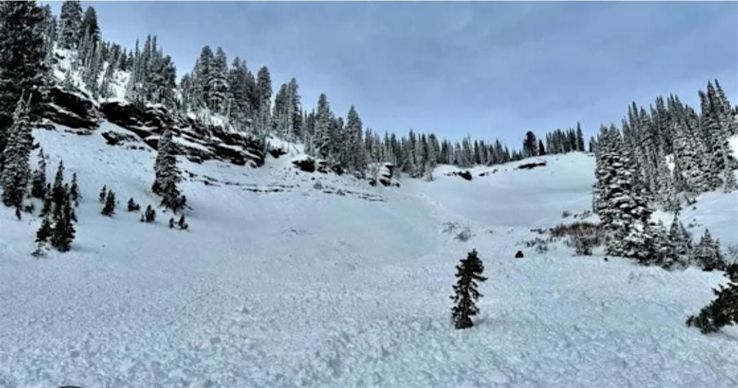 An Introduction to the Solitude Avalanche Mitigation Department