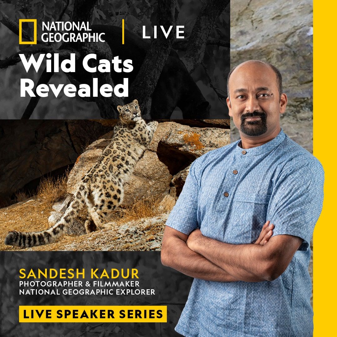 National Geographic Live - Sandesh Kadur: Wild Cats Revealed at Reynolds Hall at Smith Center