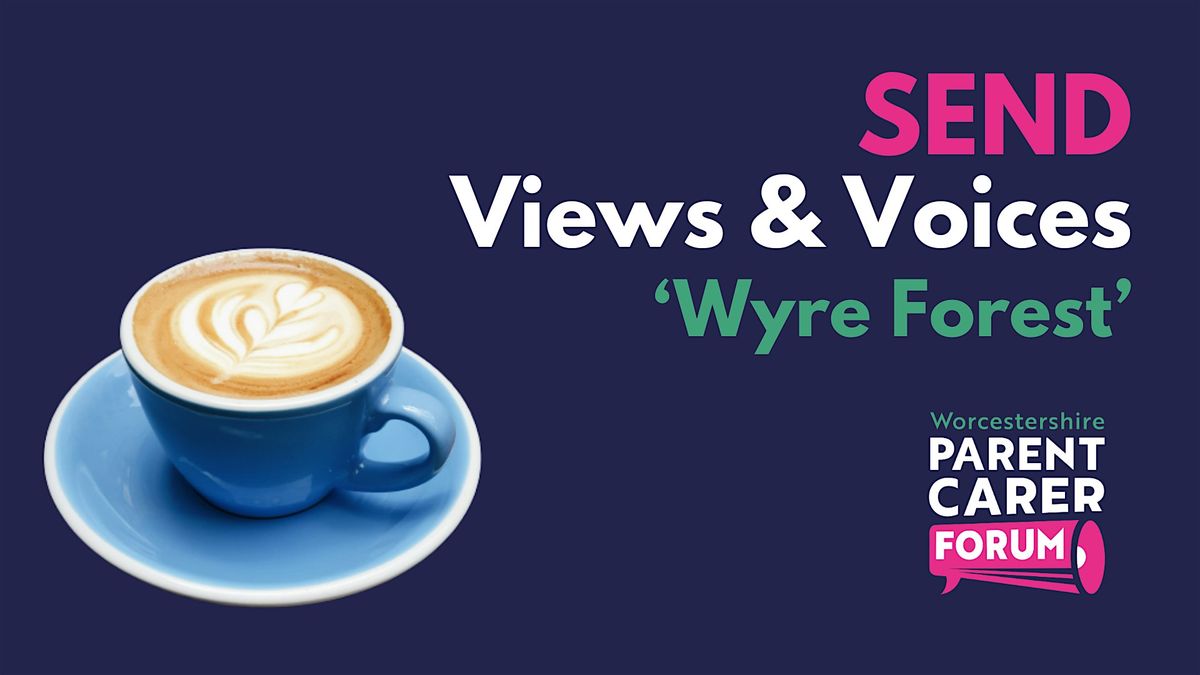 SEND Views & Voices 'Wyre Forest'