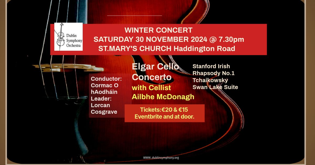 Dublin Symphony Orchestra Winter Concert 