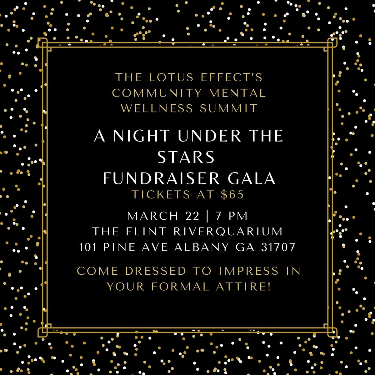 A Night Under The Stars: Black Tie Fundraising Gala