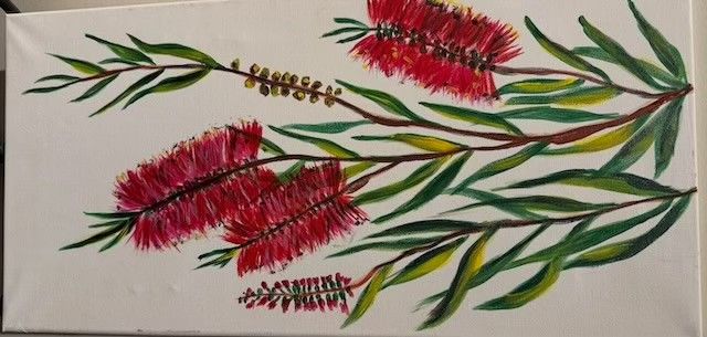 Bottlebrush at Tathra