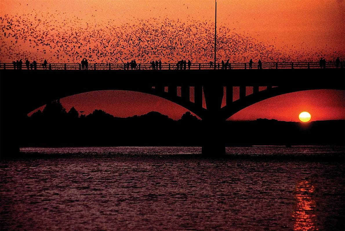 Bat City Tour: Nature Write & Walk