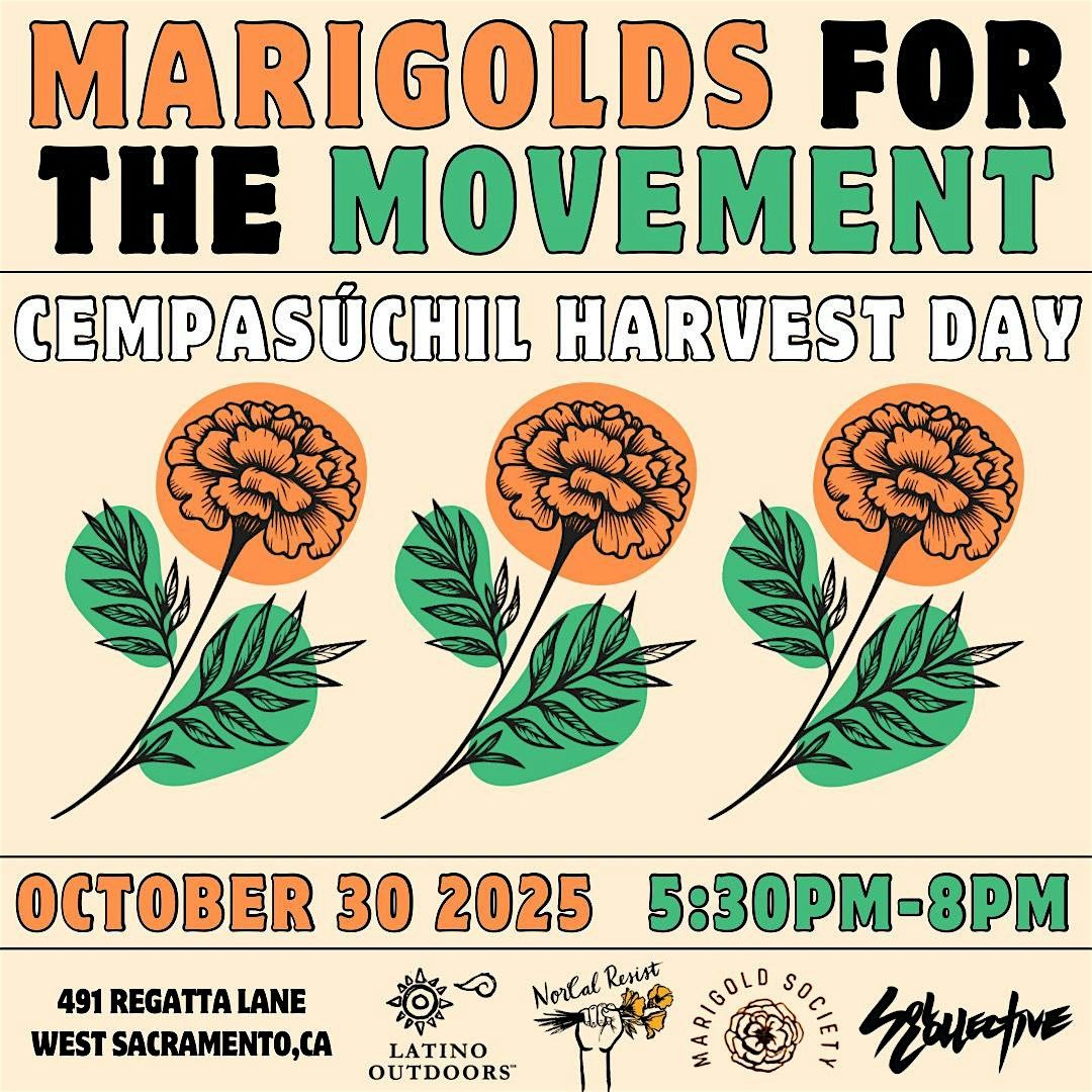 LO Sacramento | Marigolds for the Movement: Cempasuchil Harvest