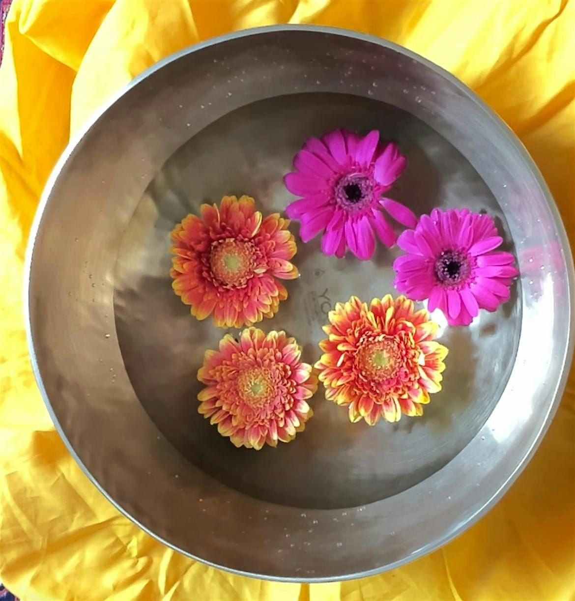 Sound healing & guided meditation