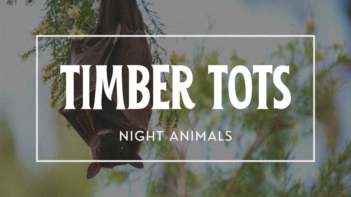 Timber Tots: Night Animals