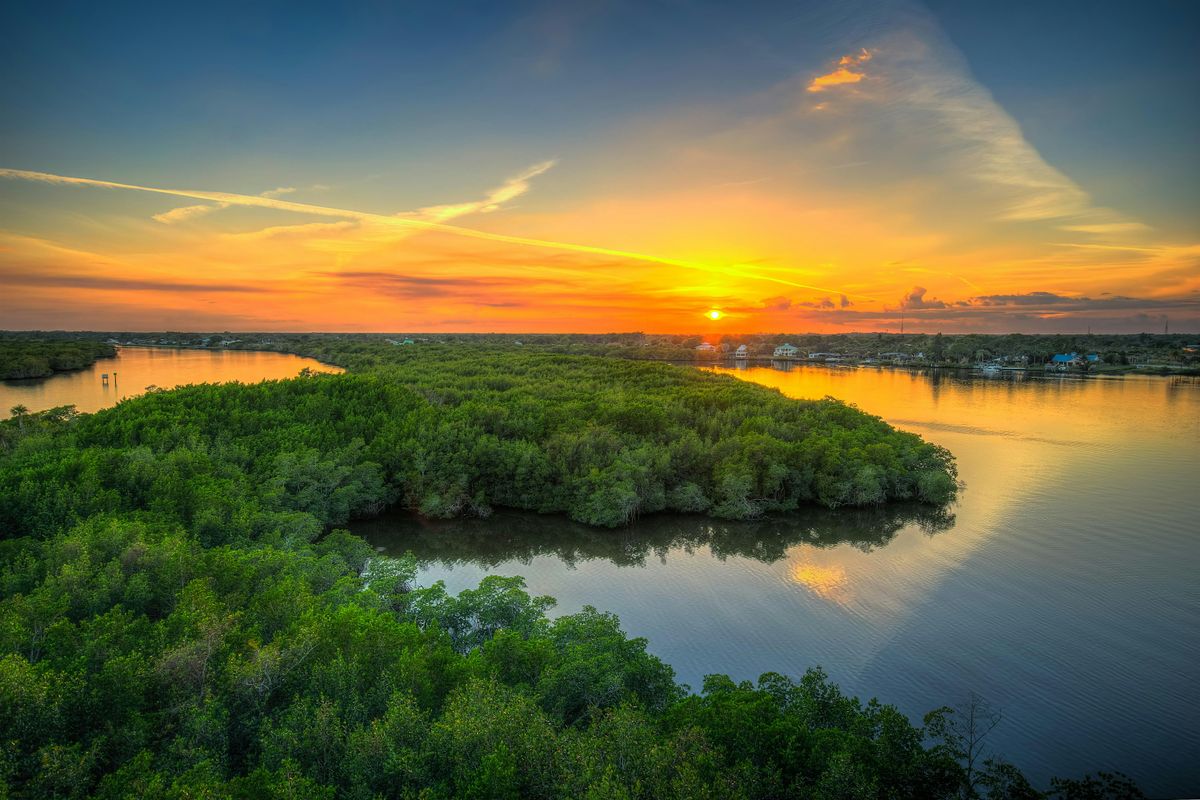 Explore Natural Martin Nature Walk: Stories of the St. Lucie River
