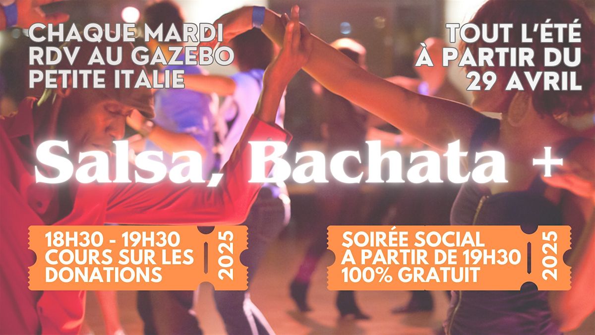 Danse au Parc Salsa Bachata +