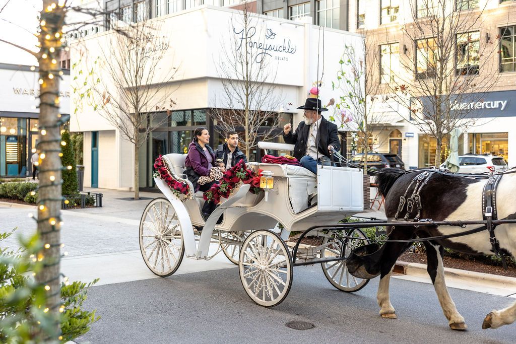 Holiday Carriage Rides at Fenton