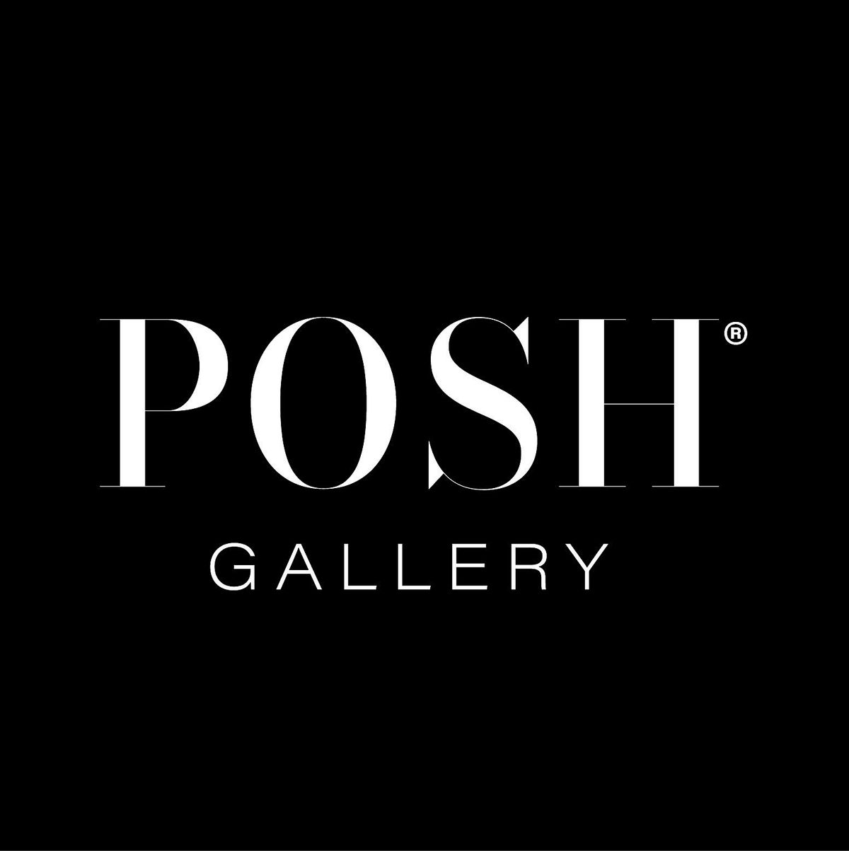 Posh Art Gallery Grand Opening