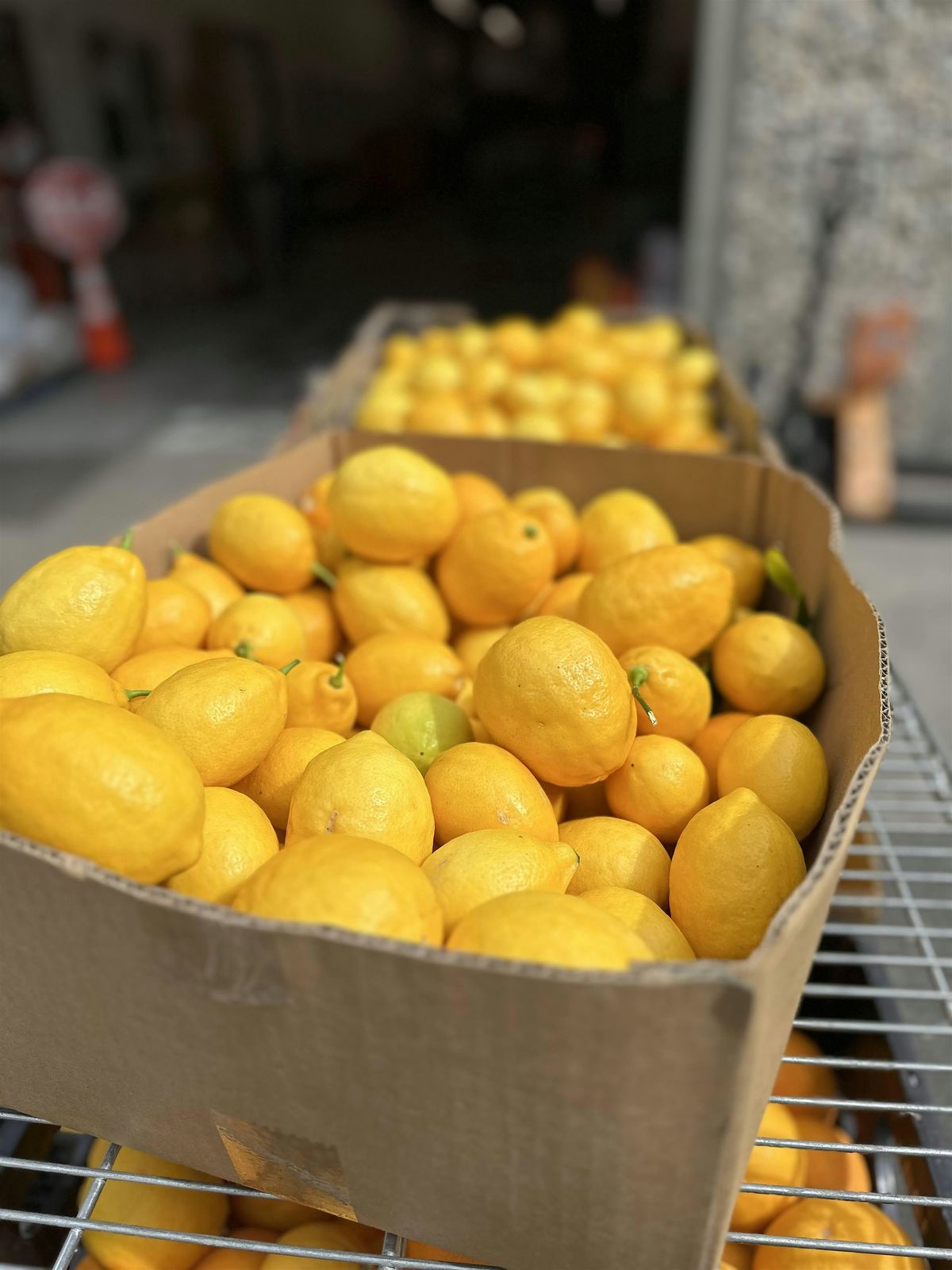 Contra Costa Fruit Rescue - Danville \/ San Ramon Area