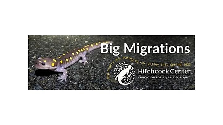 Big Migration Amphibian Volunteer Information and Training Session