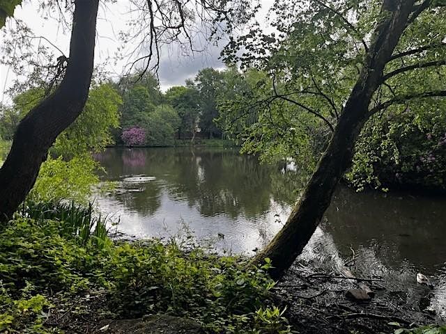 Volunteering at Clowes Park
