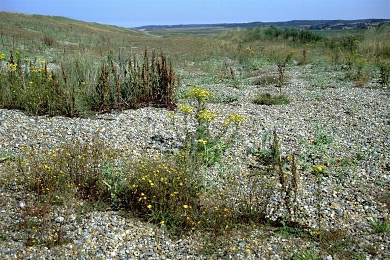 Circuit of Cley (11 December)