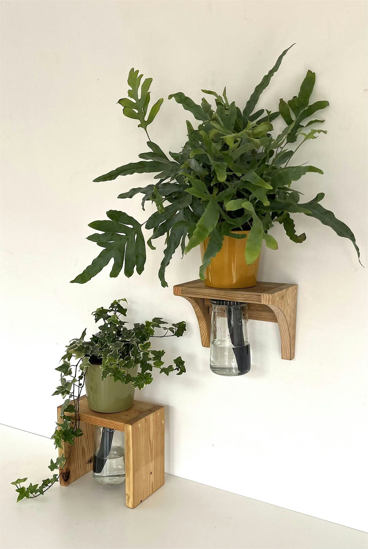 Sustainable plant shelf with a self watering device