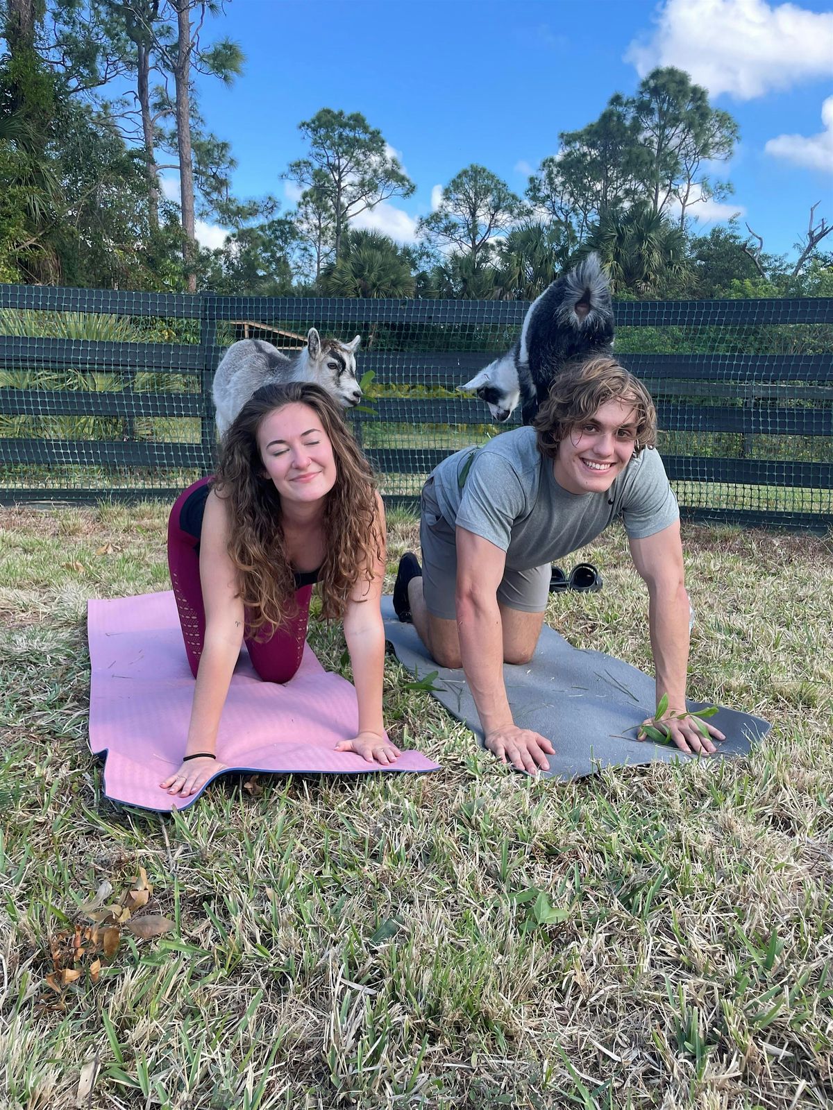Fun Goat Yoga with Baby Goats, Farm Tour, Unique Attraction in Palm Beach