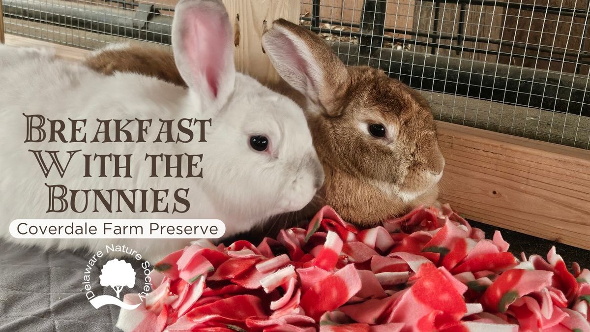 Breakfast with the Bunnies ~ Coverdale Farm Preserve