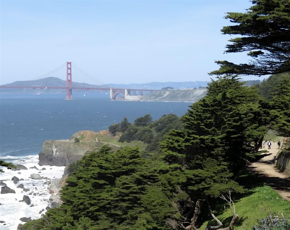 Integral Psychedelic Community Hike - SF