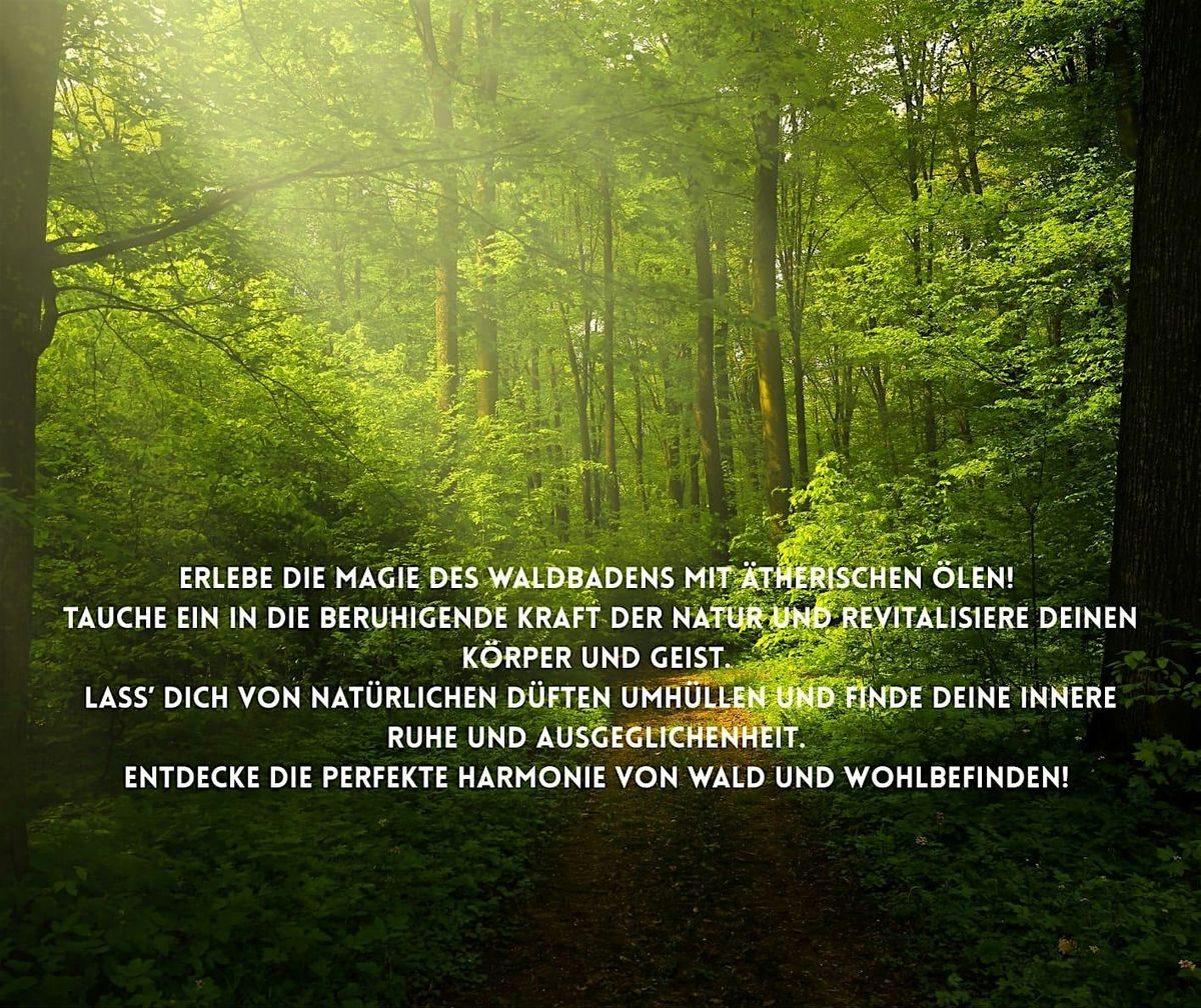 Magie des Waldbadens mit \u00e4therischen \u00d6len erleben