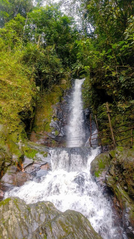 Salida Ecol\u00f3gica y ba\u00f1o en las Cascadas de Manai