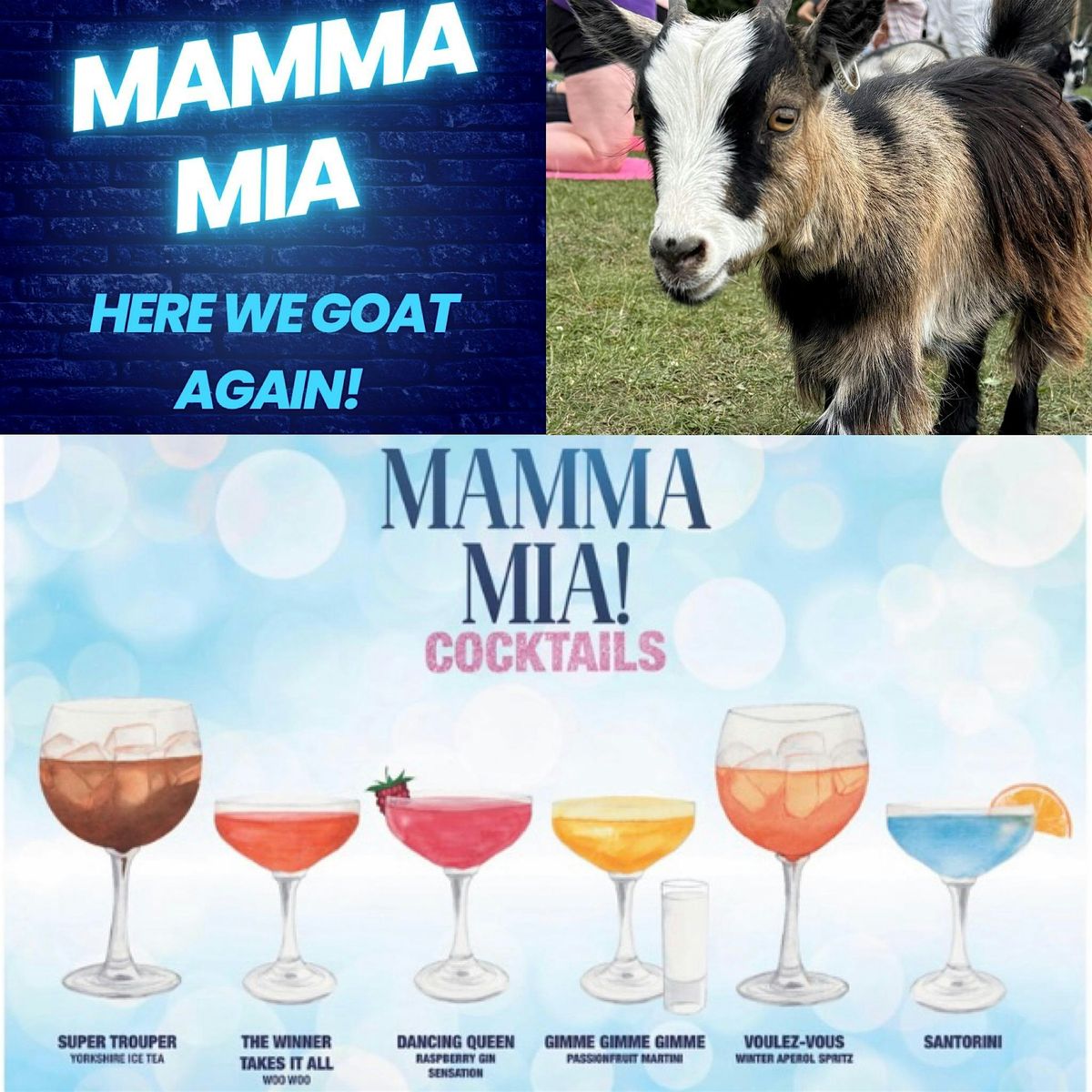 Boozy Goat Yoga "On Tour"