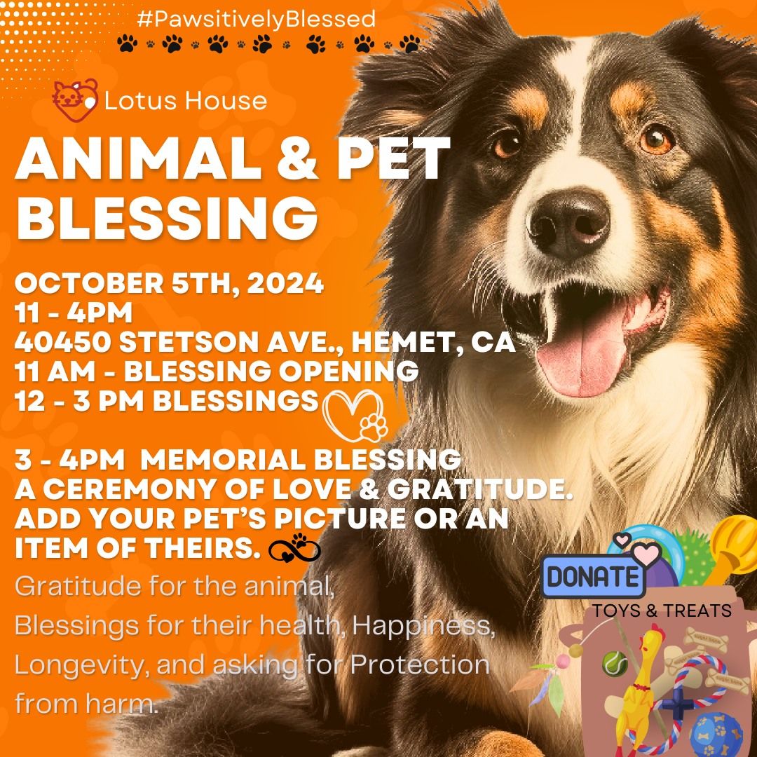 Animal Blessing - Treat Your Pet