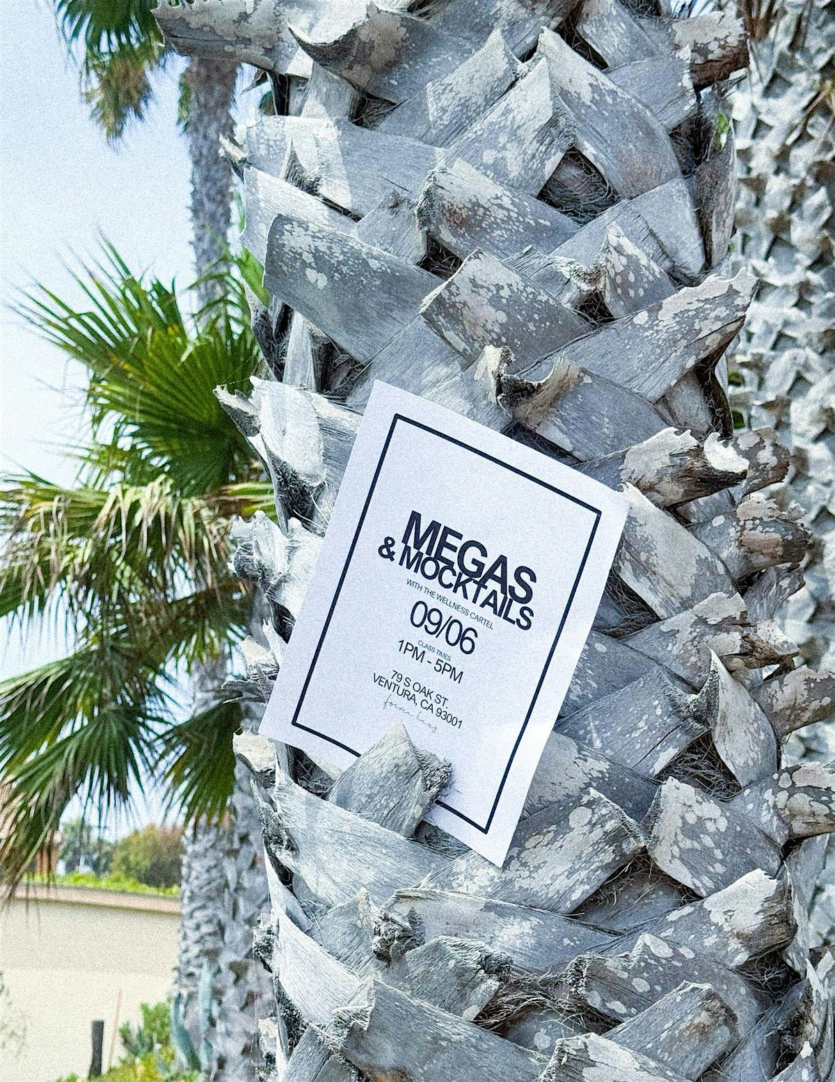 Megas & Mocktails