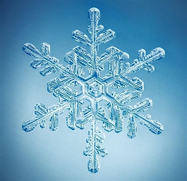 Lithia Christmas Party