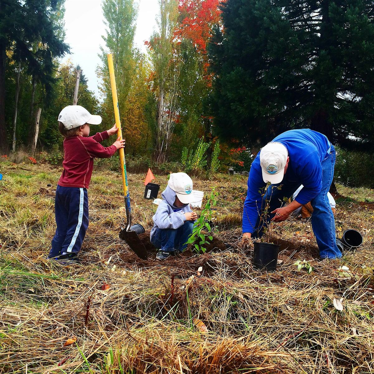 Native Planting at Dirksen Nature Park