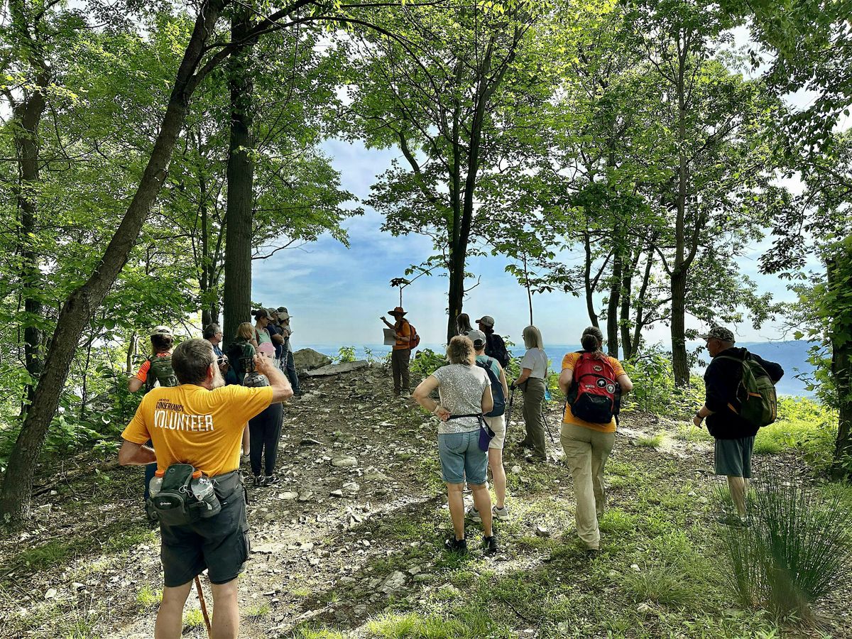 Morning Meandering: Robert A. Kinsley Nature Preserve
