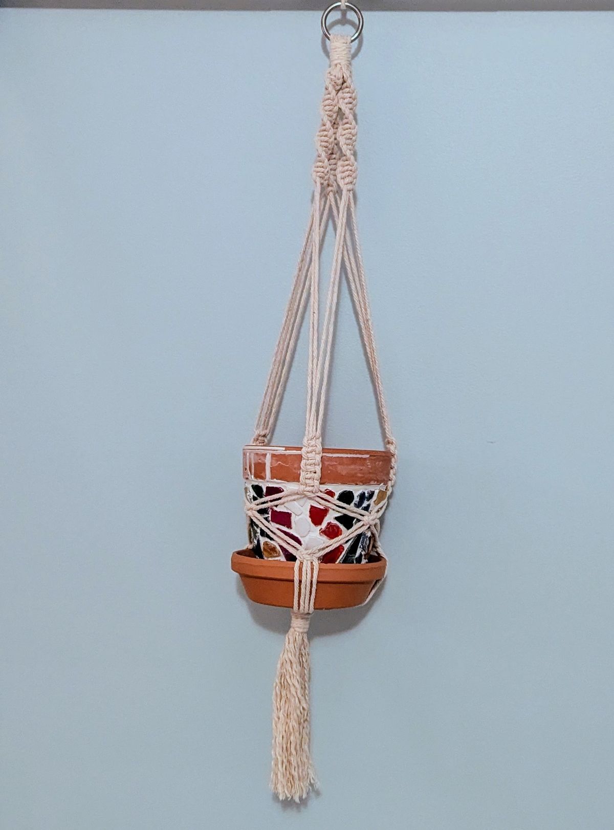 Macrame Plant Hanger Workshop