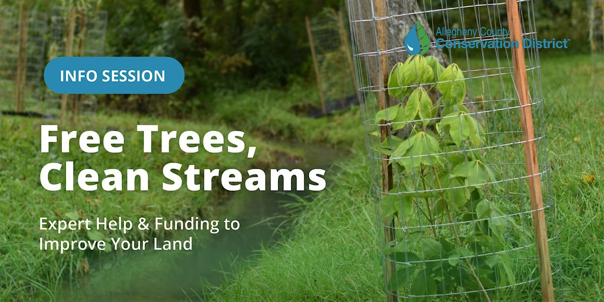 Free Trees, Clean Streams: Expert Help & Funding to Improve Your Land