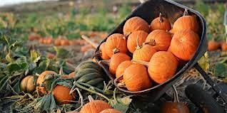 Lanza's Cafe 2025 Fall Festival