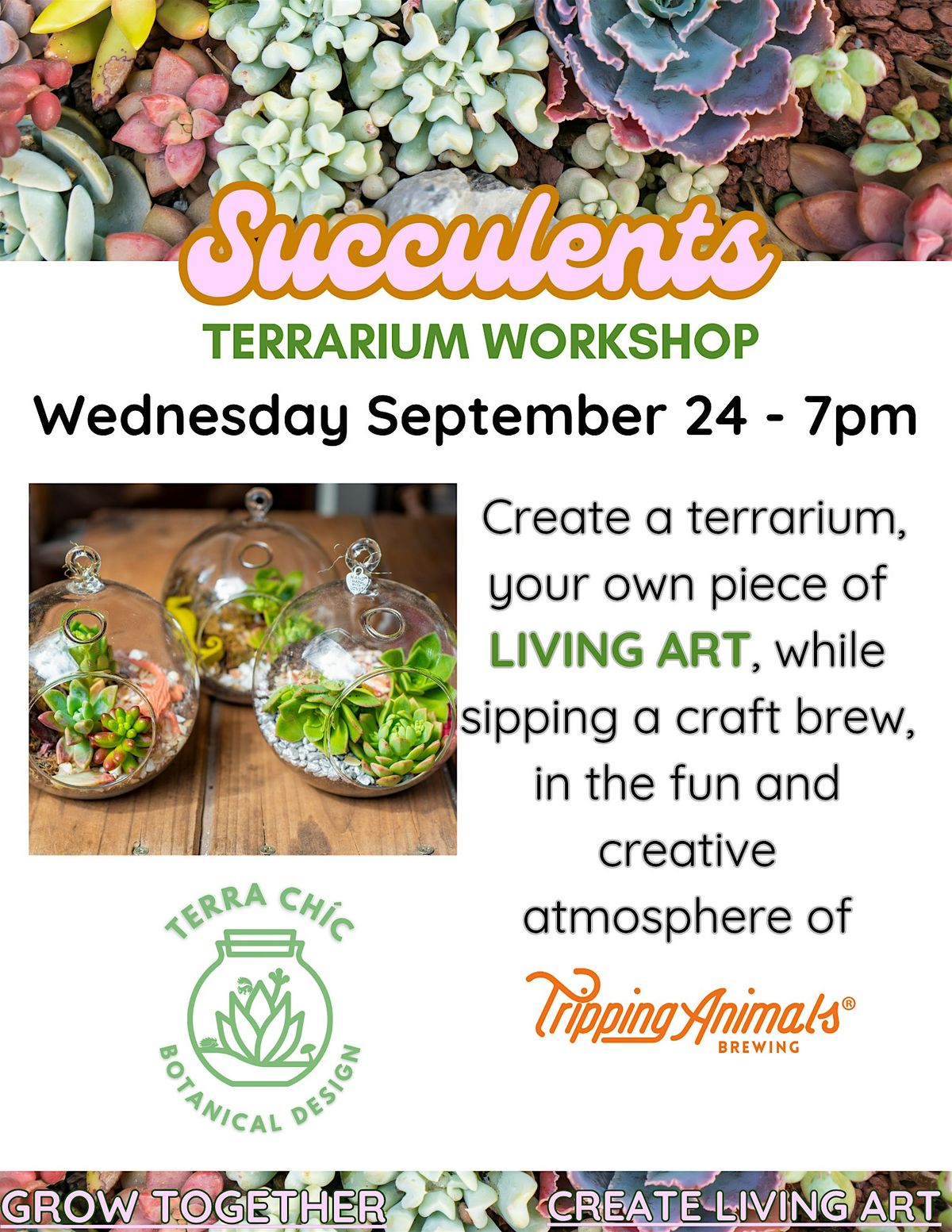 Succulents Terrarium Workshop at Tripping Animals  - Plant and Sip