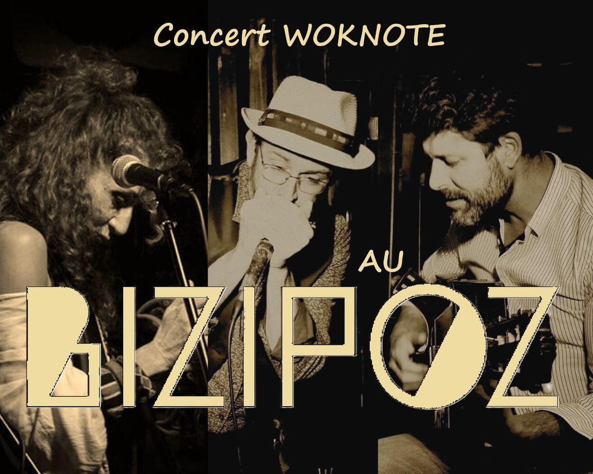 Concert Woknote Trio - BIZIPOZ - St Jean De Luz