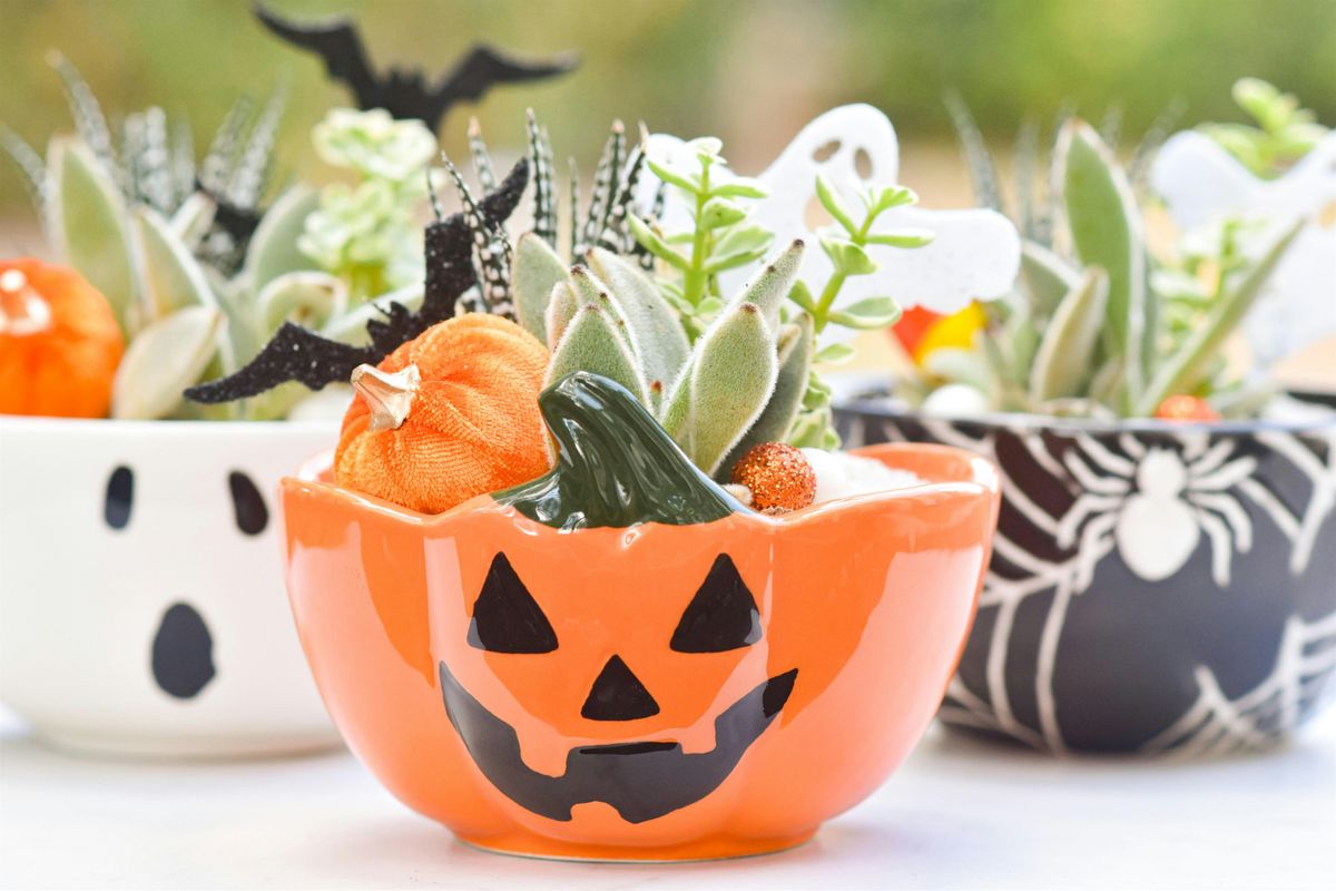 Succulents & Brews: Halloween Succulent Arrangement Class