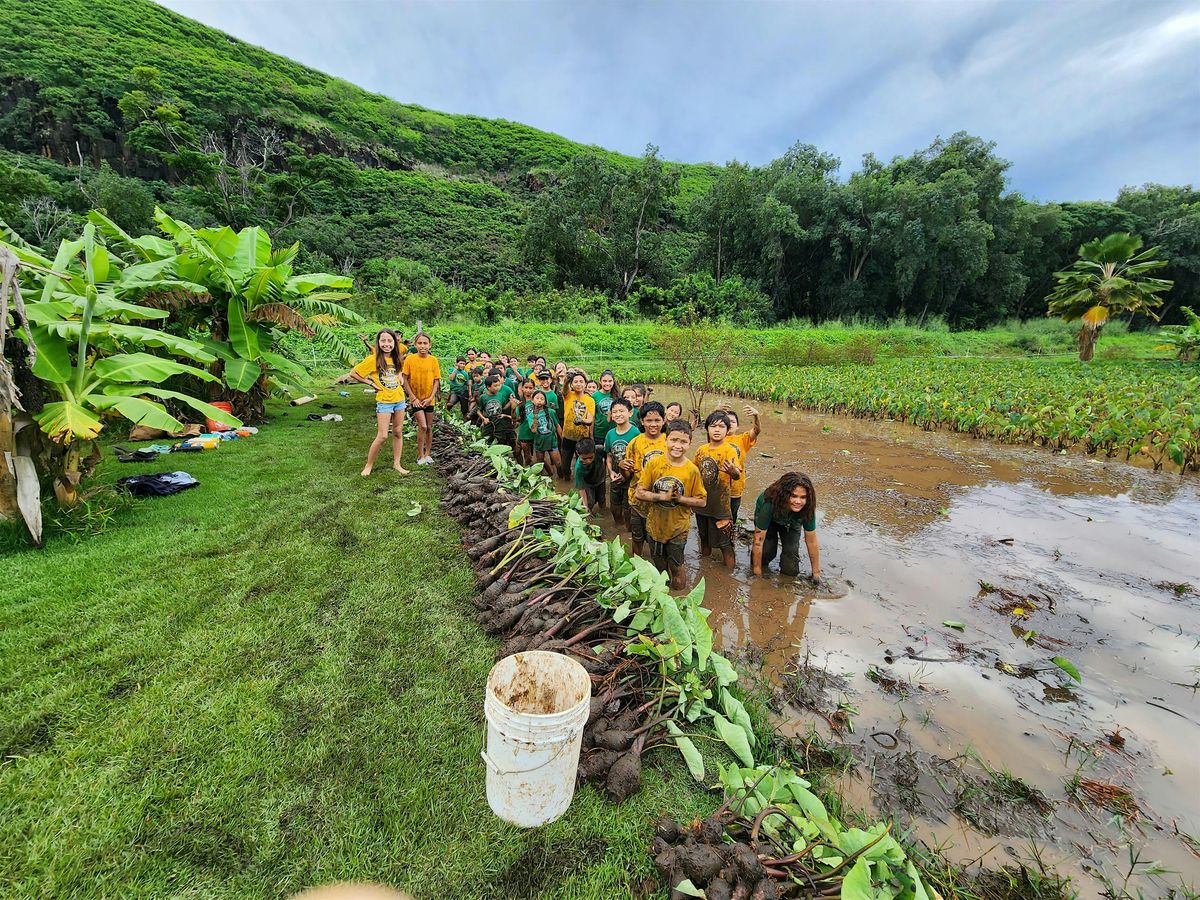 Kumano I Ke Ala School Field Trip Registration - H\u0101lau K\u016b M\u0101na Charter