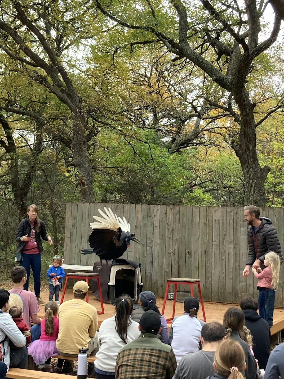 Window to the Wild Bird Show! At Cedar Ridge Preserve