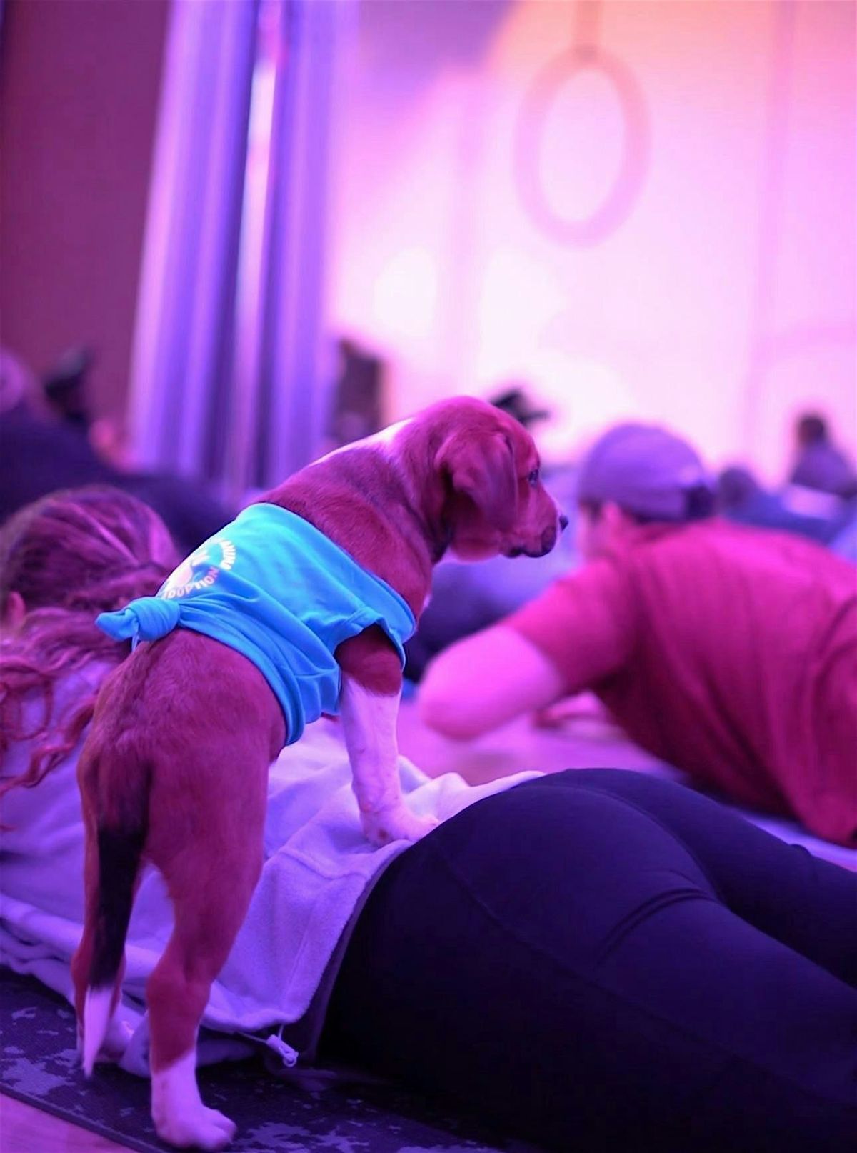 PUPPY YOGA