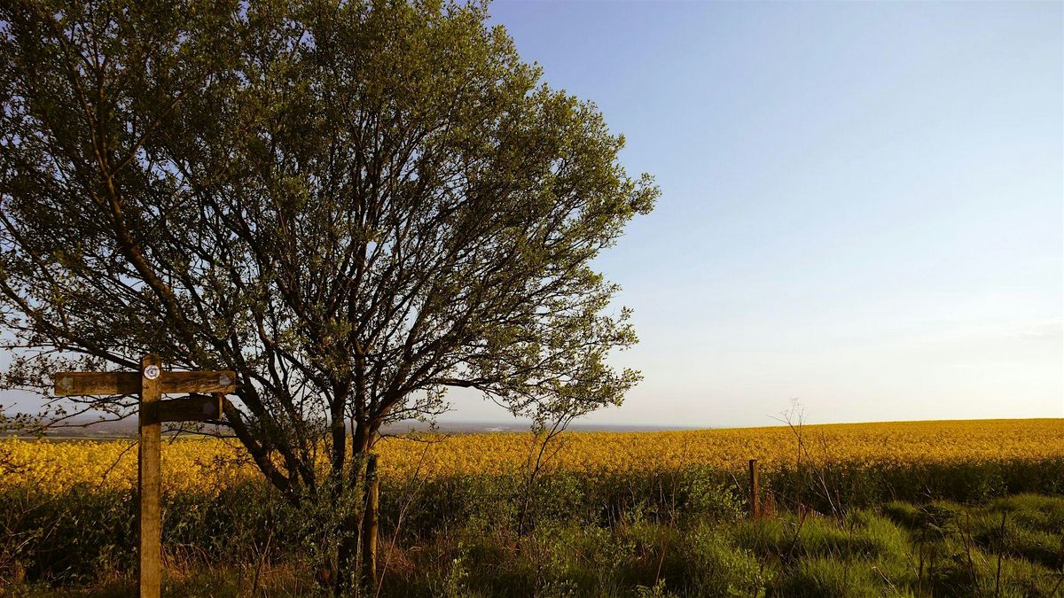 South Downs National Park Nature Hike (from Chicago)