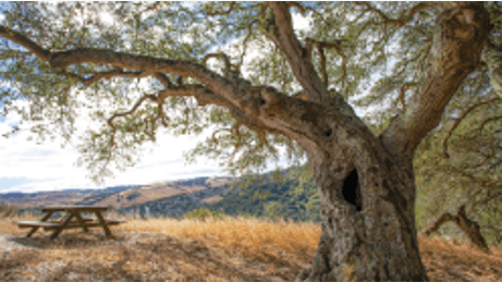 Climate Action in Contra Costa