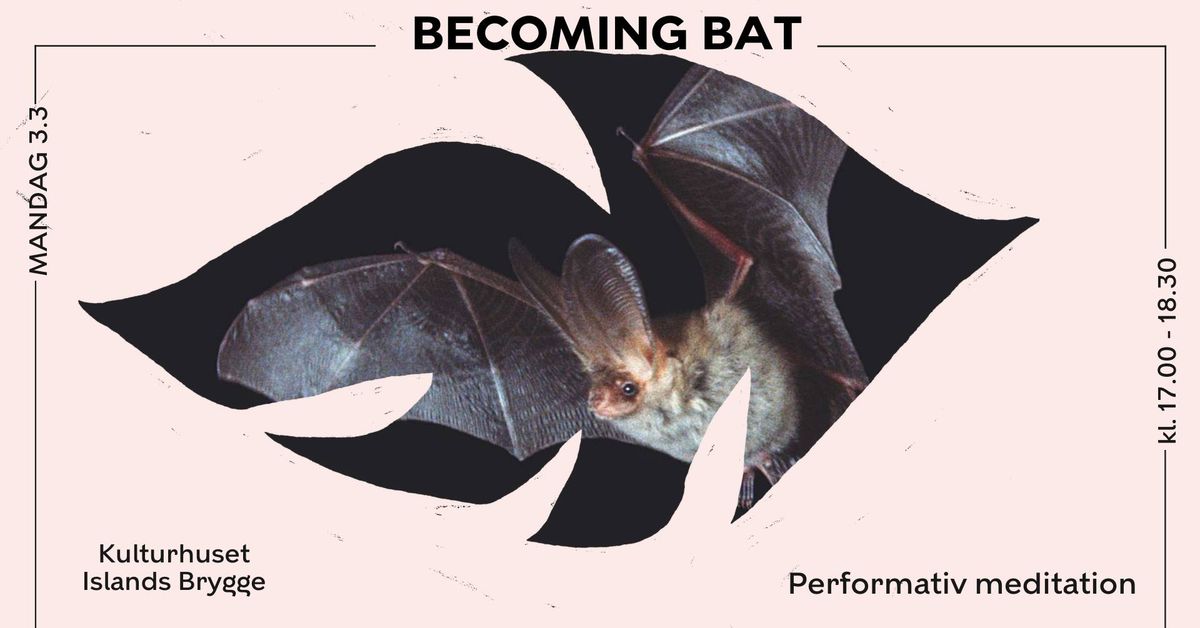 Becoming Bat: Performativ meditation