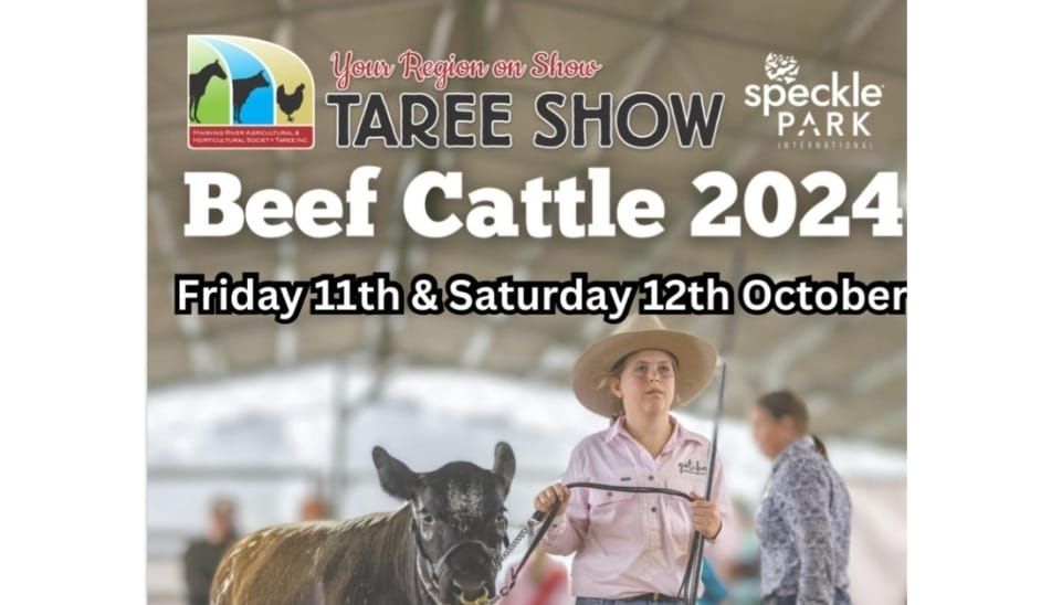 Taree Show - Beef Cattle