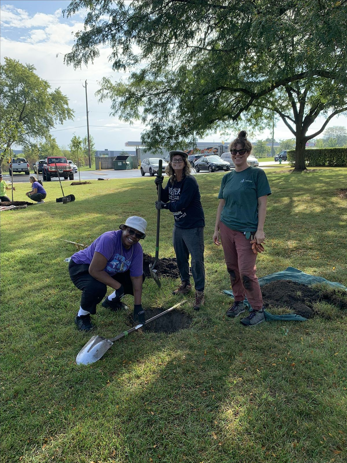O'Brien Park Planting