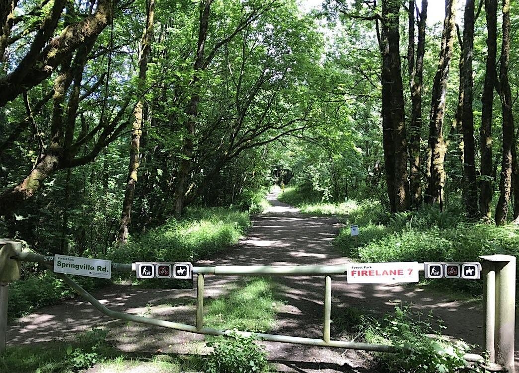 This year's final ICF Oregon Walk & Talk