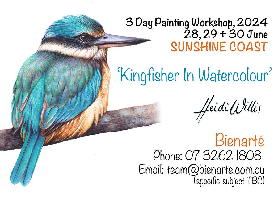 3 Day Painting Workshop - Kingfisher Illustration In Watercolour