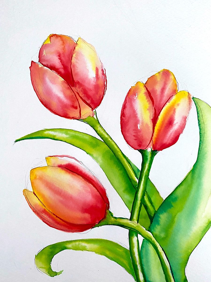 Watercolour and Wine Night in Whangarei - Watercolour Tulips