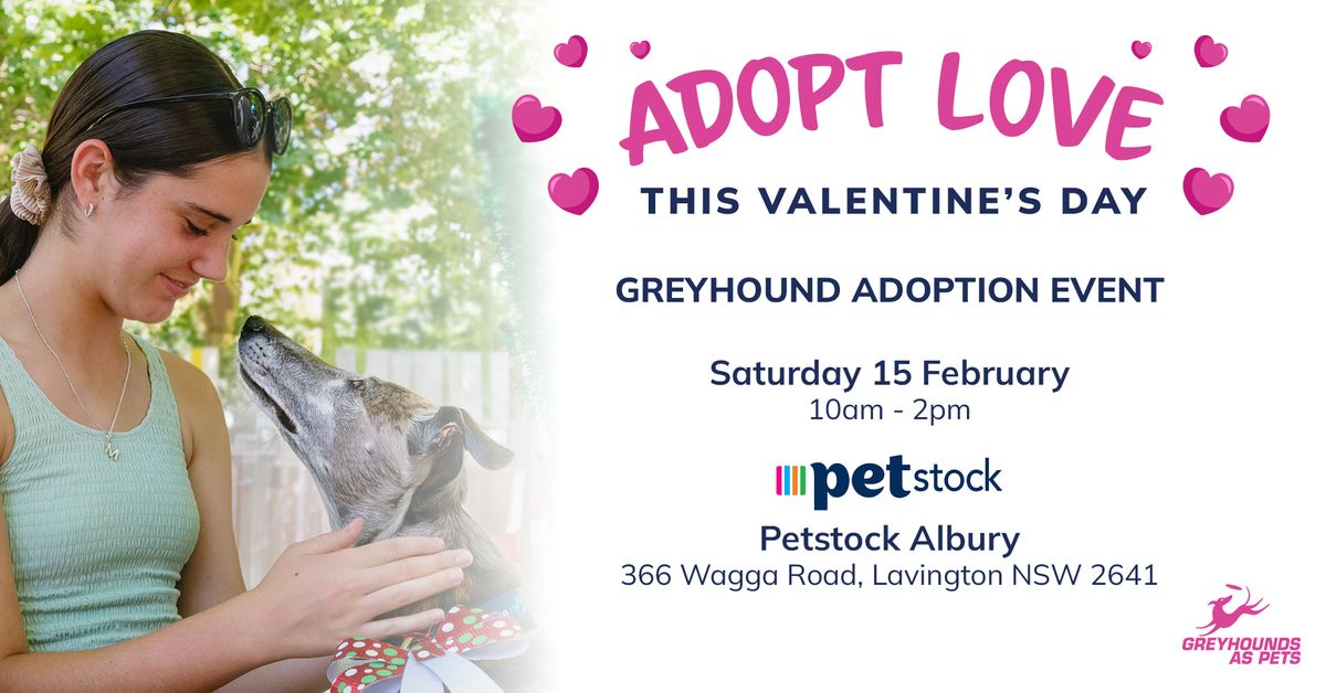 Greyhound Adoption Event 