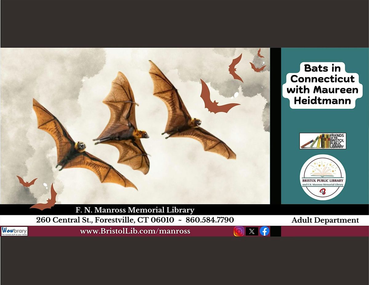 Bats in Connecticut